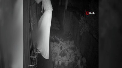 Kadın kıyafetleri giyip böyle hırsızlık yaptı