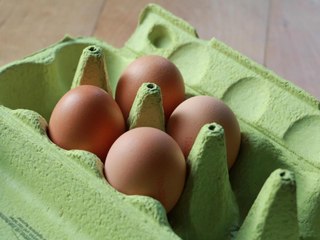 FDA Rolls Back Egg Labelling Requirements to Speed Up Supply