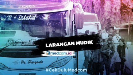 Jokowi: Mudik Semuanya akan Kita Larang