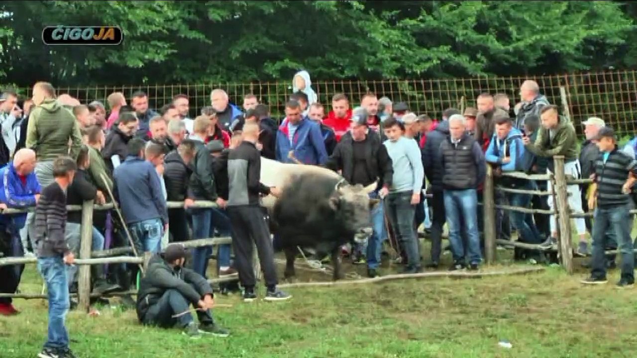 SULTAN ZECO FAJTOVCI 2019 KOD MIRVE I SINOVA