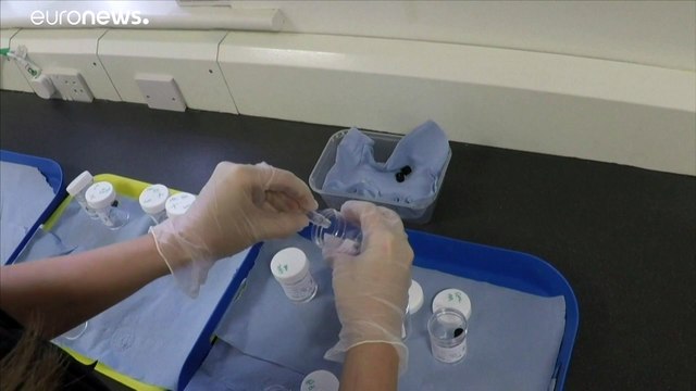 Чем пахнет коронавирус? Британцы учат собак вынюхивать заразу