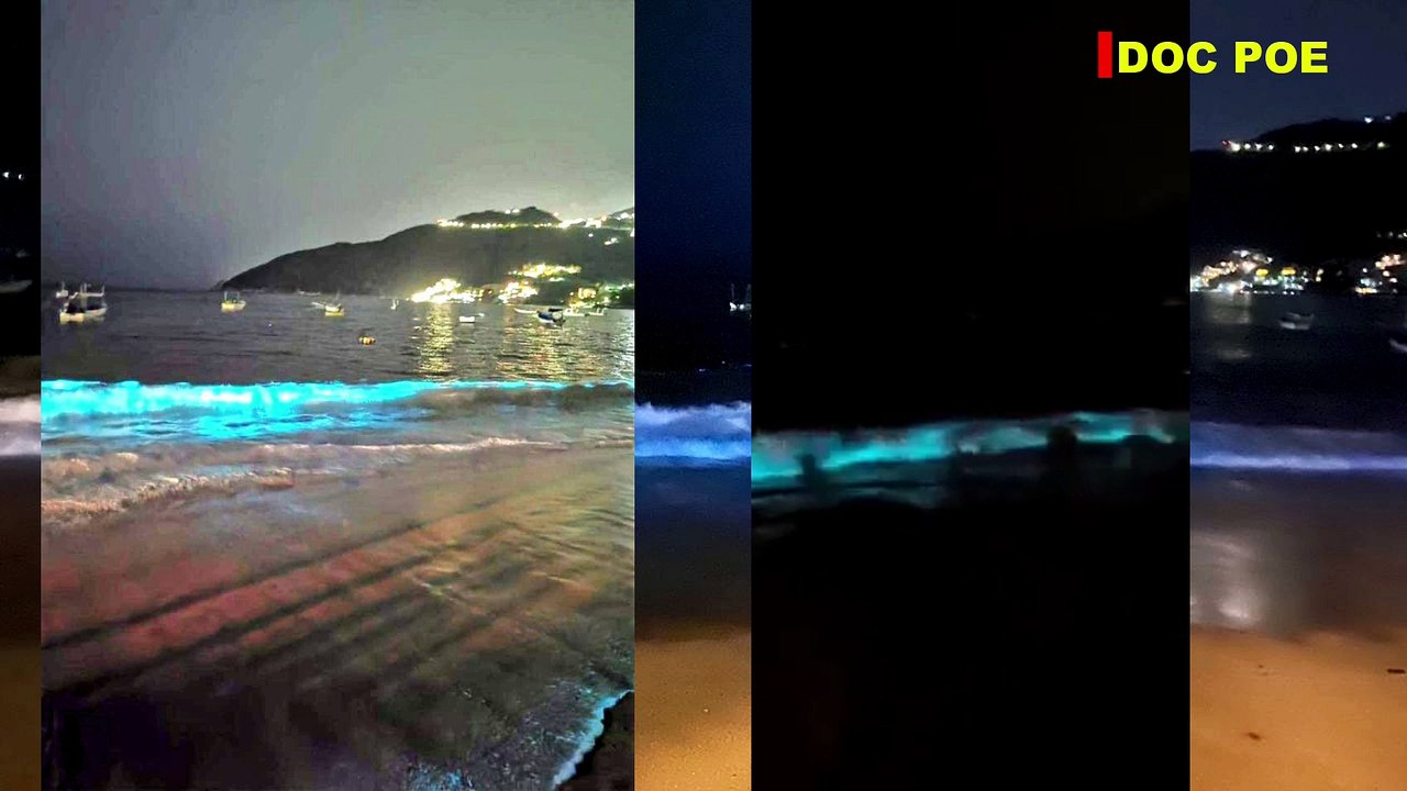 A FALTA DE HUMANOS MAR SE ILUMINA EN PUERTO MARQUÉS, ACAPULCO | HOY 21 DE ABRIL 2020