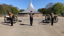 King's Troop performs socially-distanced salute