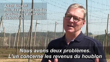 La bière bavaroise menacée par la crise liée à la pandémie de Covid-19
