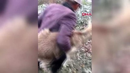 ERZİNCAN Yaralı dağ keçisini kilometrelerce sırtında taşıdı