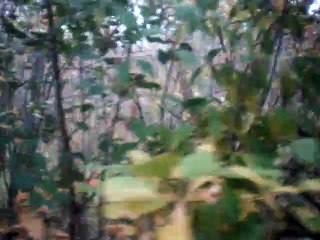 Invocation to the deep melody