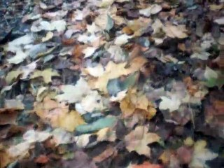 Invocation to the deep vocals