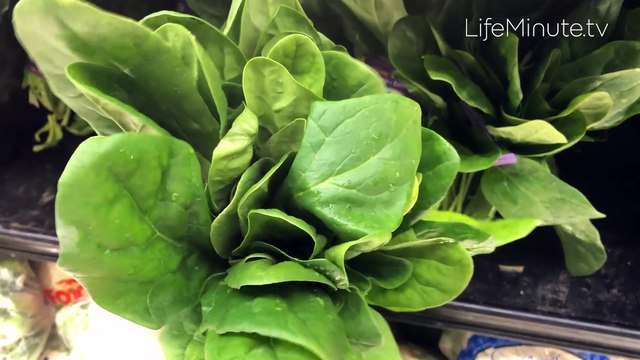 Simple Tips to Fuel Your Body and Stay Healthy All Year Long