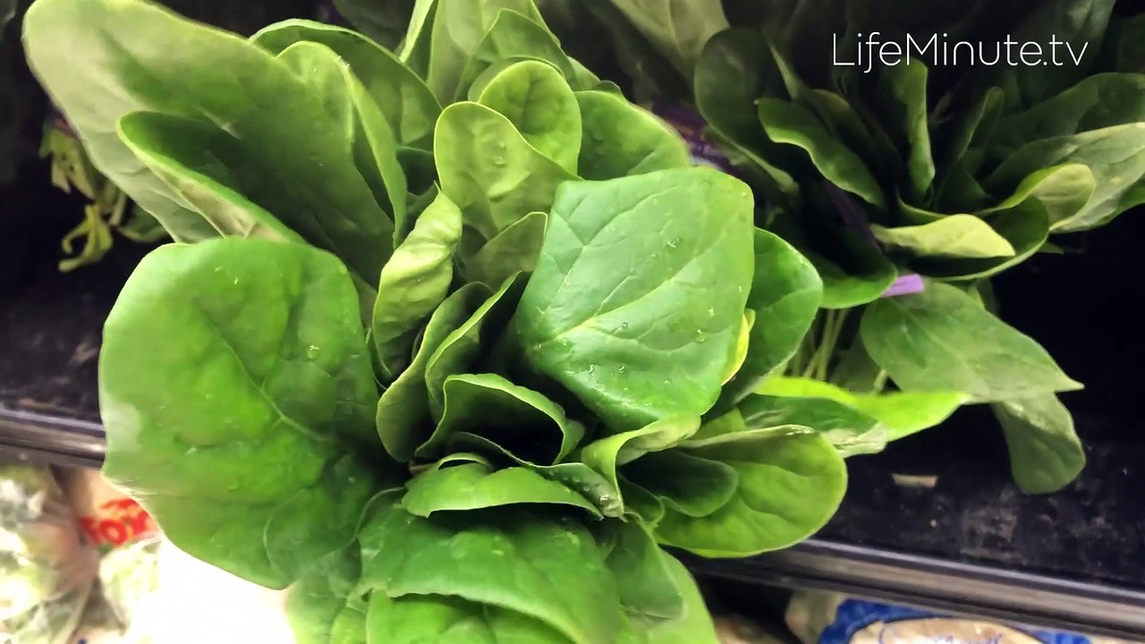 Simple Tips to Fuel Your Body and Stay Healthy All Year Long