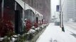 Winter in Toronto | Snowfall in Toronto | Canada Snowfall
