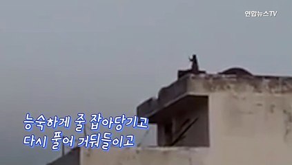 [월드줌인] 연 날리는 인도 원숭이…코로나 봉쇄가 부른 급속진화?