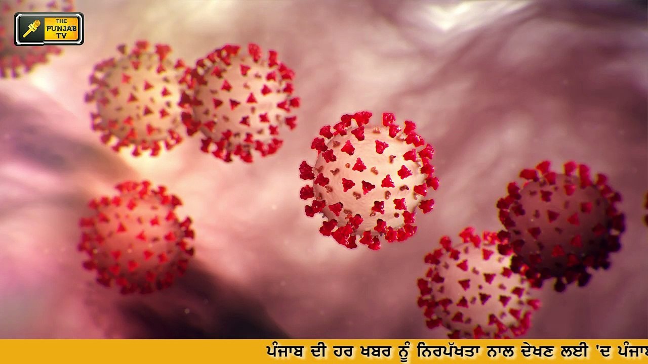 ਤੇਲ ਦੀਆਂ ਕੀਮਤਾਂ 'ਚ ਇਤਿਹਾਸਕ ਗਿਰਾਵਟ Sukhpal Khair...