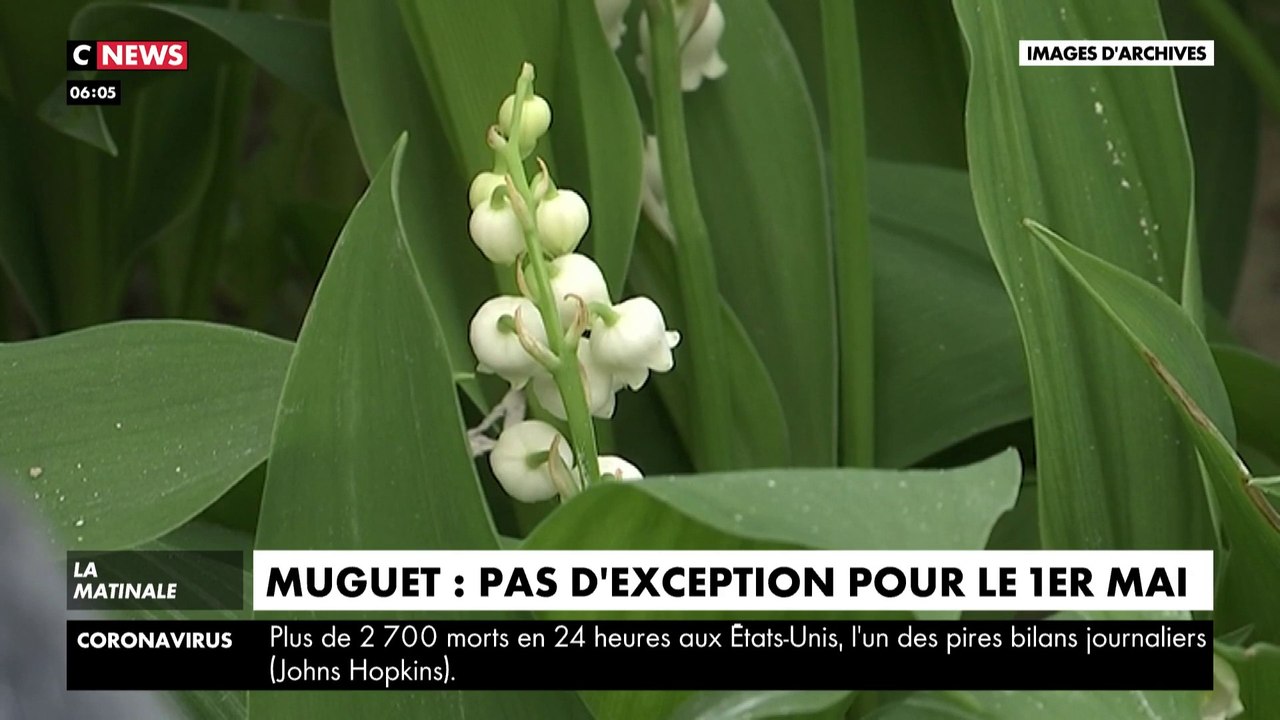 Muguet : pas d'exception pour le 1er mai