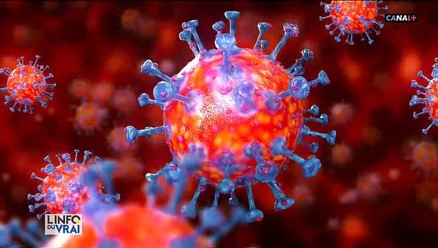 Coronavirus: Avec seulement 6 % de la population infectée par le Covid, la France reste loin de l’immunité collective