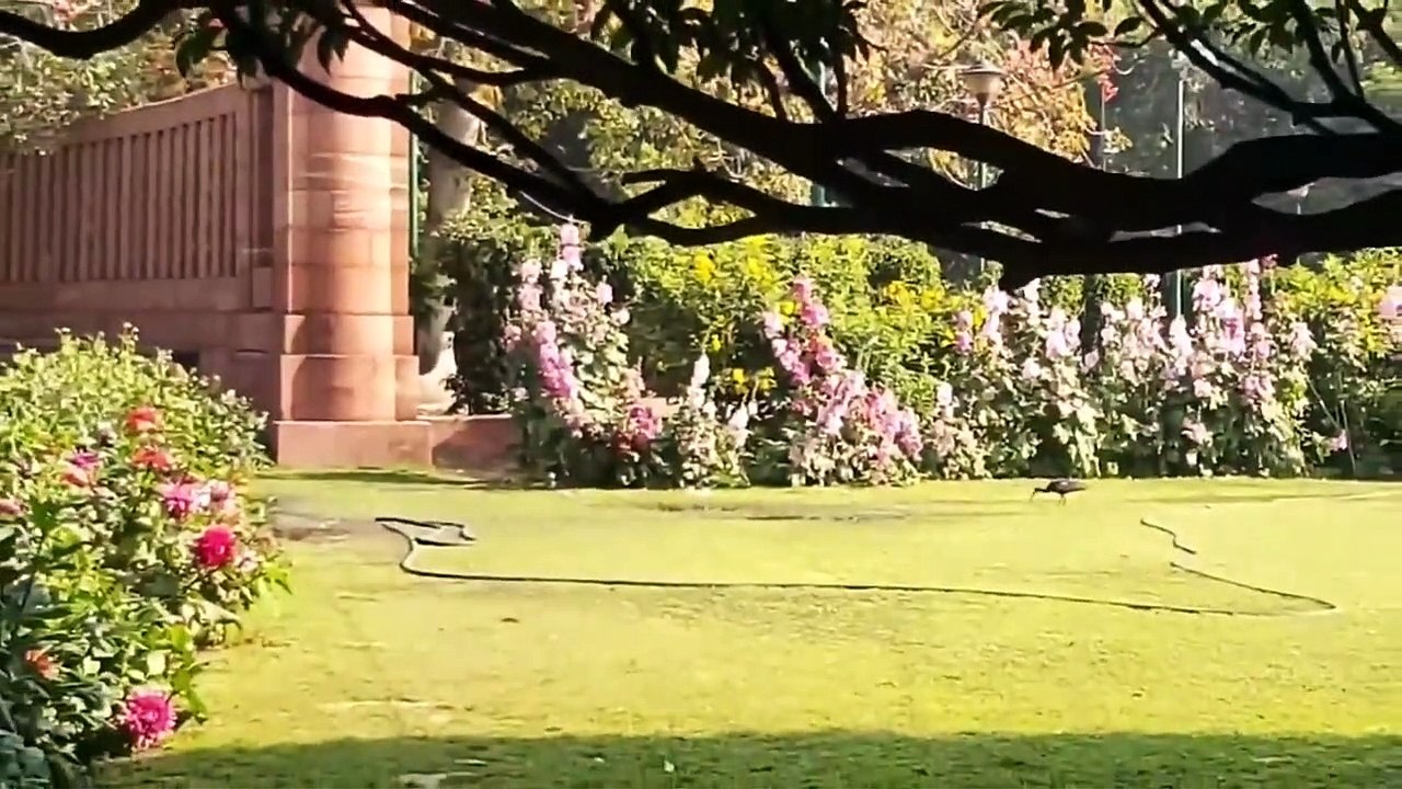 Corona Effect : कोरोना का फायदा, बच गए प्रदूषण...
