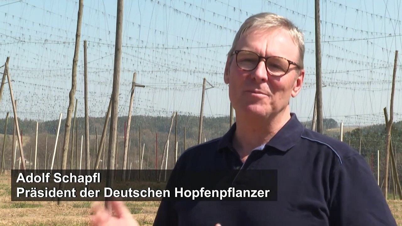 Coronavirus ernüchtert Bierbranche