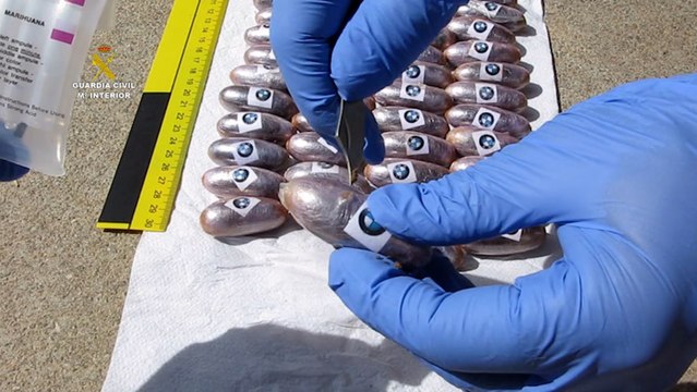 Tres detenidos en Palma del Río por supuestos delitos de tráfico de drogas