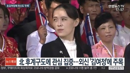 다시 조명받는 '백두혈통' 김여정…北 후계구도 주목