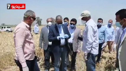 محافظ الفيوم: سلالات القمح الجيدة والميكنة والرى الحديث سبب زيادة المحصول