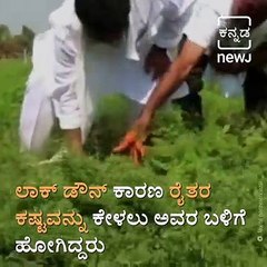 The Video Of Karnataka Congress President DK Shivakumar Harvesting Carrots Goes Viral