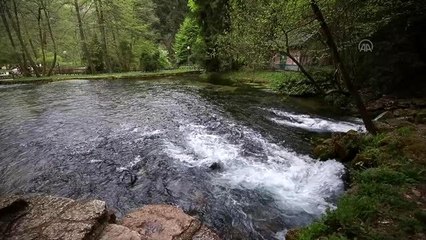 Bosna Hersek'te ilkbahar