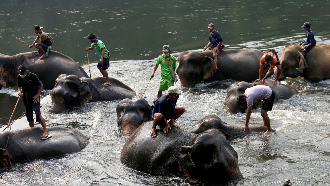 Thailand virus curbs: Tourist industry hit as visitors stay away