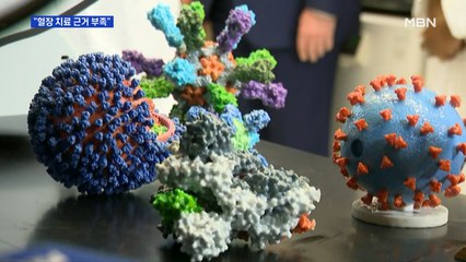 코로나19 혈장치료 효과 논란…학계 일각 "과학적 근거 부족하다"