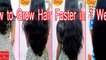 बालों को घने और लंबे कैसे करें balon ko ghane aur lambe kaise karen