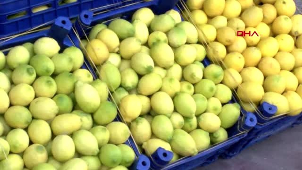 adana sebze meyvede hal ve pazarda fiyat farki dailymotion video