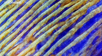 Journée de la Terre : l'heure de l'urgence