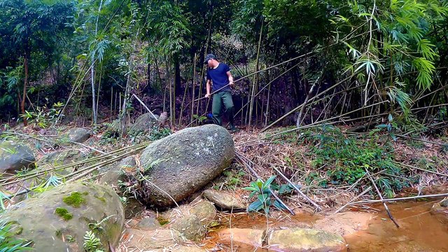 Bushcraft in forest Ep 2 | Shelter Building From Bamboo And Forest Woods