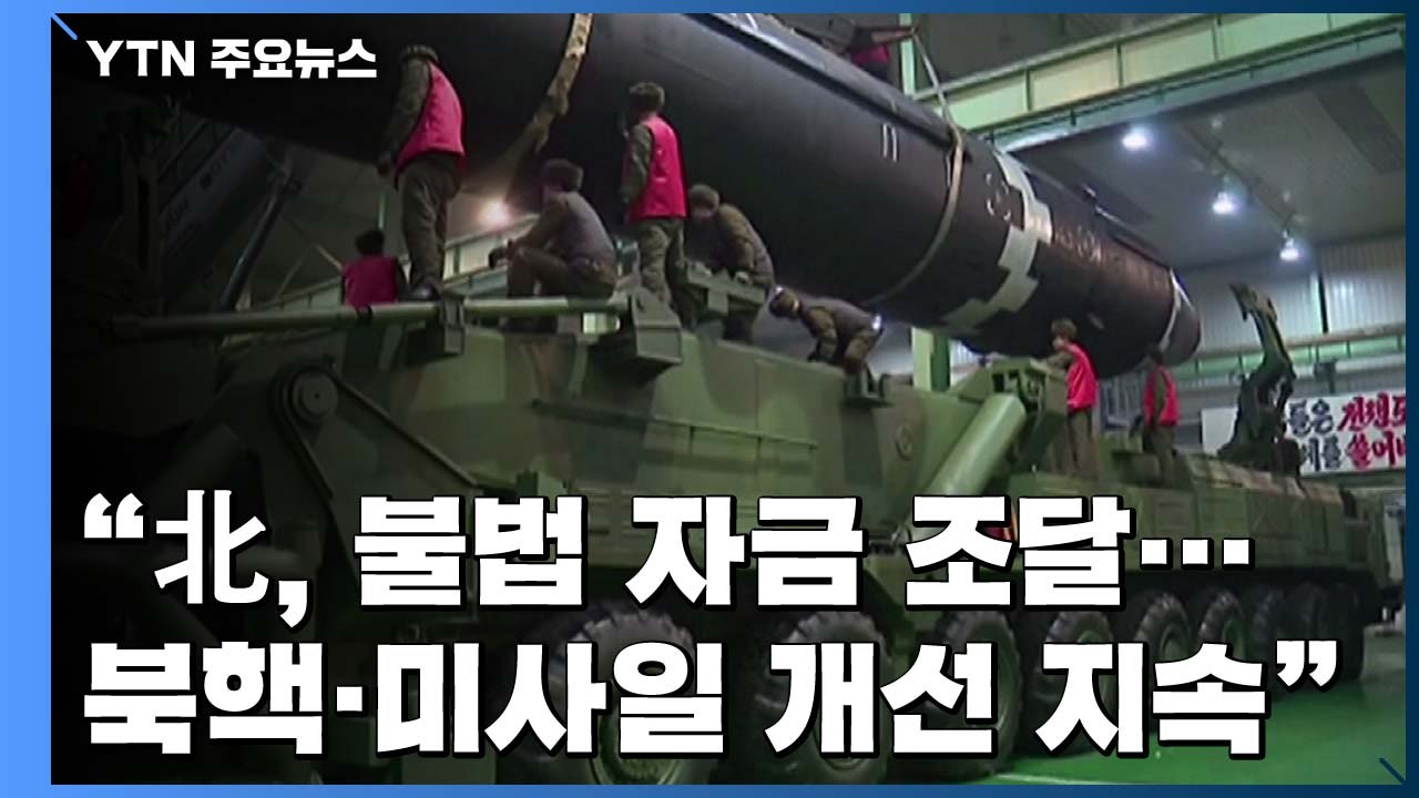 유엔 대북제재위 "北, 핵·미사일 계속 진행"...각국, 제재 이행 촉구 / YTN