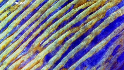 Föld napja: az egészséges természeti környezet alapvető emberi jog