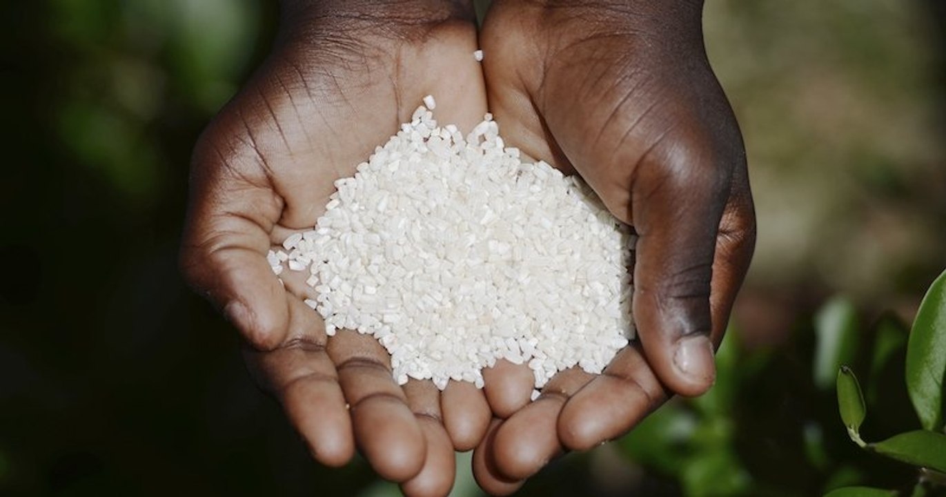 L'ONU alerte sur une possible « catastrophe humanitaire » suite à la pandémie du Covid-19