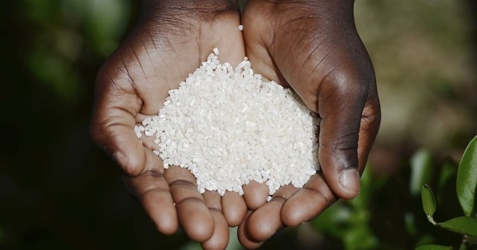 L'ONU alerte sur une possible « catastrophe humanitaire » suite à la pandémie du Covid-19