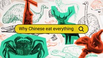 Why Do Chinese People Seem to Eat ‘Everything’? - Why Chinese (E1)