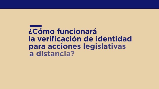 Cómo sesionará la Cämara de Diputados de forma remota