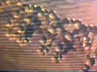 Lethal Target - Original Trailer by Film&Clips