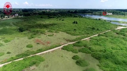 Meralarda hayvan otlatma sezonu açıldı