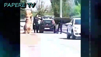 Si traveste da dinosauro tirannosauro rex (T-Rex) e va in giro per le città