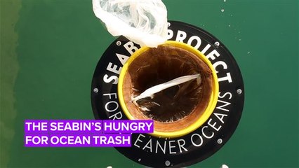 The Seabin is one invention we'd love to see in oceans everywhere!