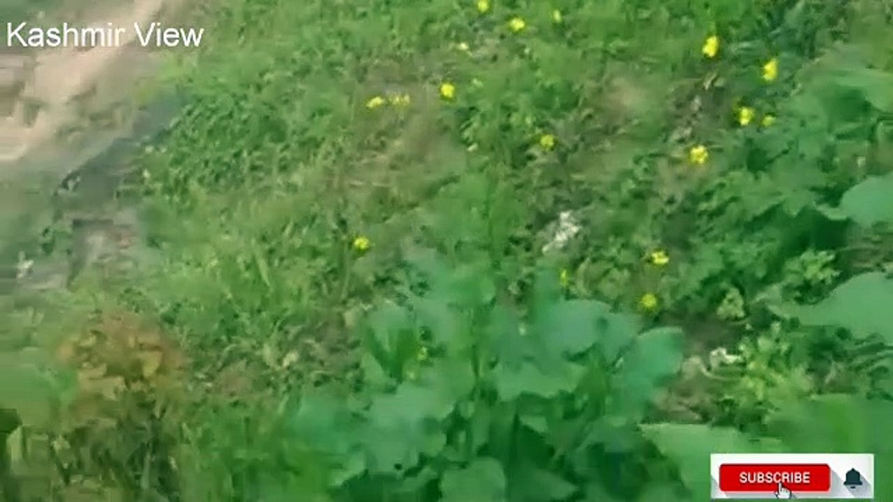 Beautiful weather