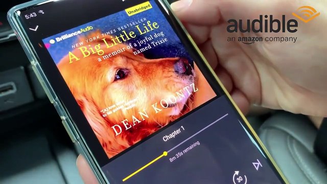 Mon chien loue une maison de plage _ vacances en famille