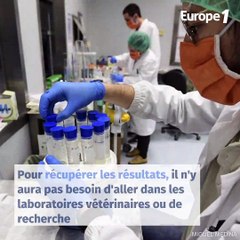 Coronavirus : pourra-t-on vraiment faire 500.000 tests virologiques dès la mi-mai ?