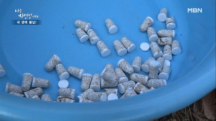 버섯 종균이 꼭… 귀마개 같아요.