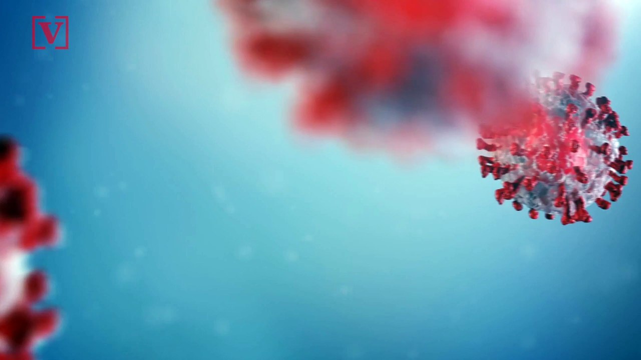 61,000 Chickens Produced Eggs on This Farm but This Is Why They Were Euthanized