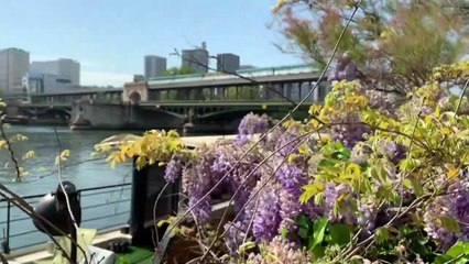 Coronavirus: balade dans Paris, quand printemps rime avec confinement