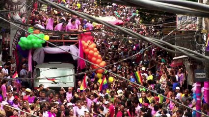 Trailer | Favela Gay