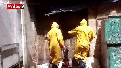 عجوة وزنك طريقة الزراعة السحرية للقضاء على خفافيش المنزل المهجور بسمالوط