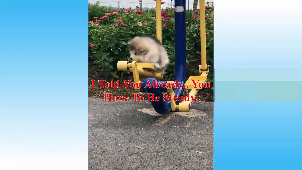 If Your Pet Can Talk #3